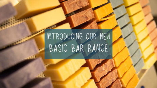 Basic bar soap range on a curing tray