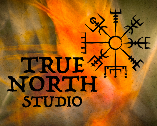 TRUE NORTH STUDIOS