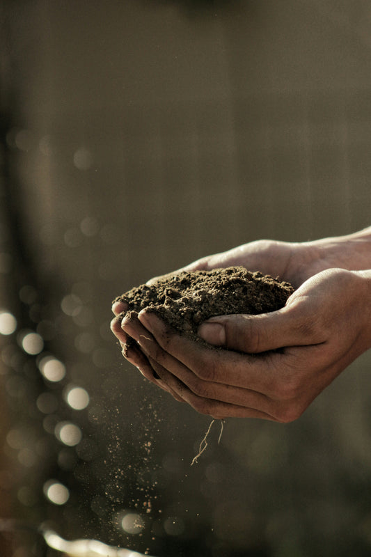 ZERO WASTE - COMPOST TIME!